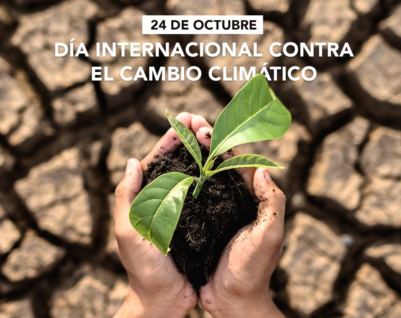 24 de octubre Día Internacional contra el Cambio Climático