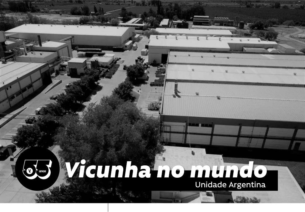 Vicunha en el mundo: director de la unidad de Argentina cuenta la historia de la empresa y habla sobre su evolución.