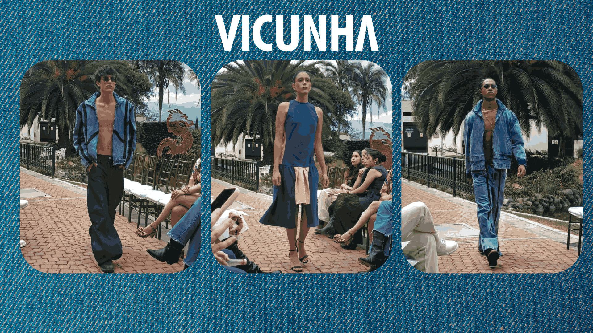 Vicunha