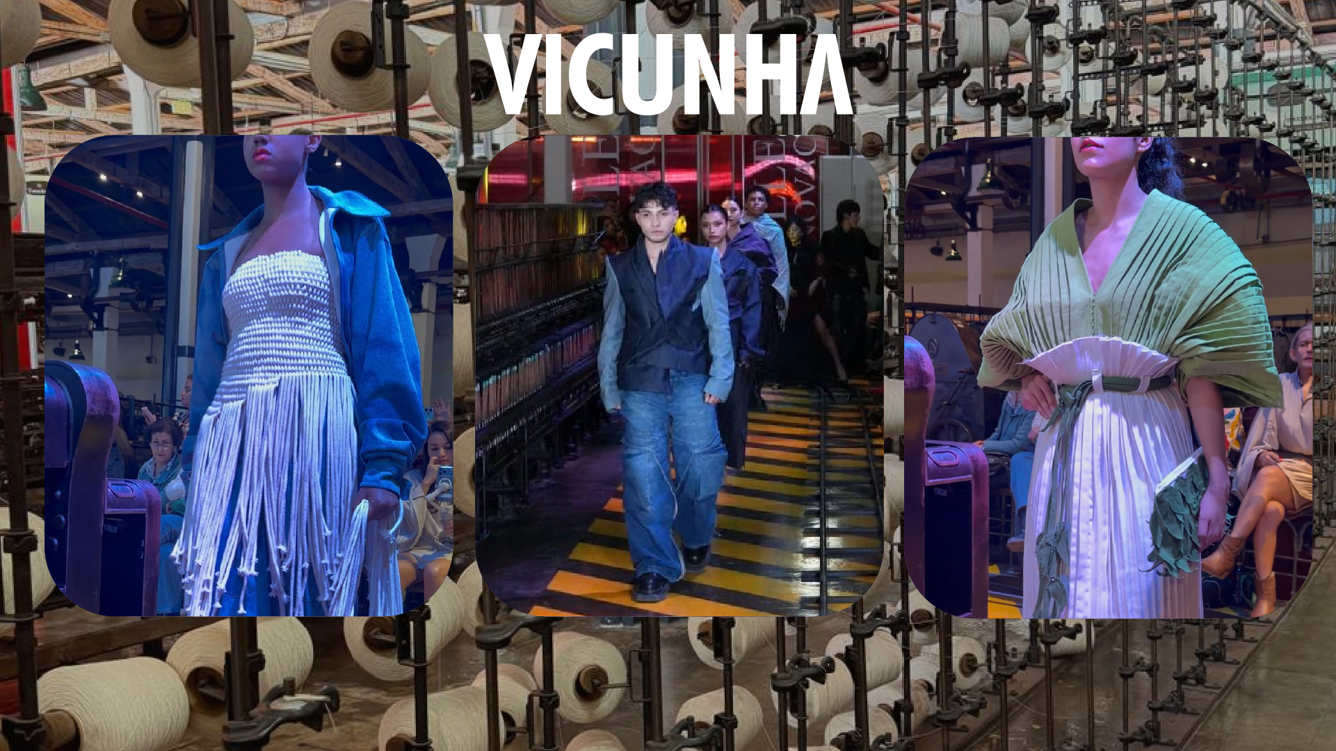 Vicunha